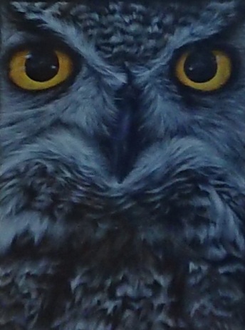 Ann Martin - owl